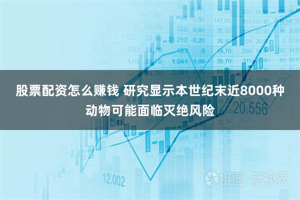 股票配资怎么赚钱 研究显示本世纪末近8000种动物可能面临灭绝风险